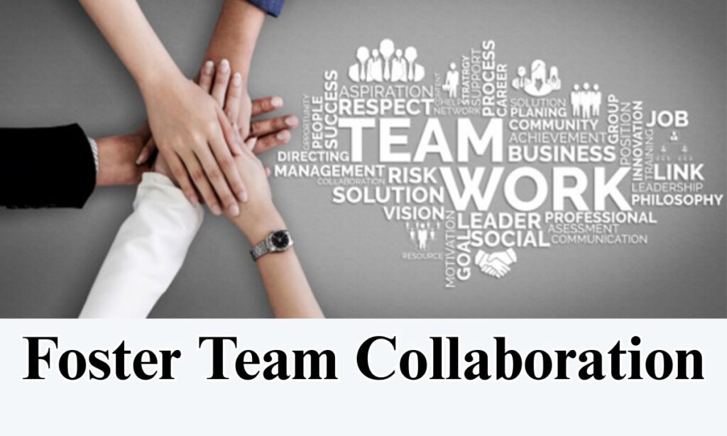 Foster Team Collaboration