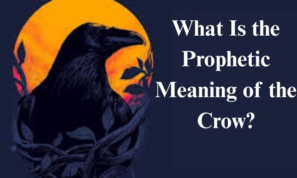 What Is the Prophetic Meaning of the Crow?