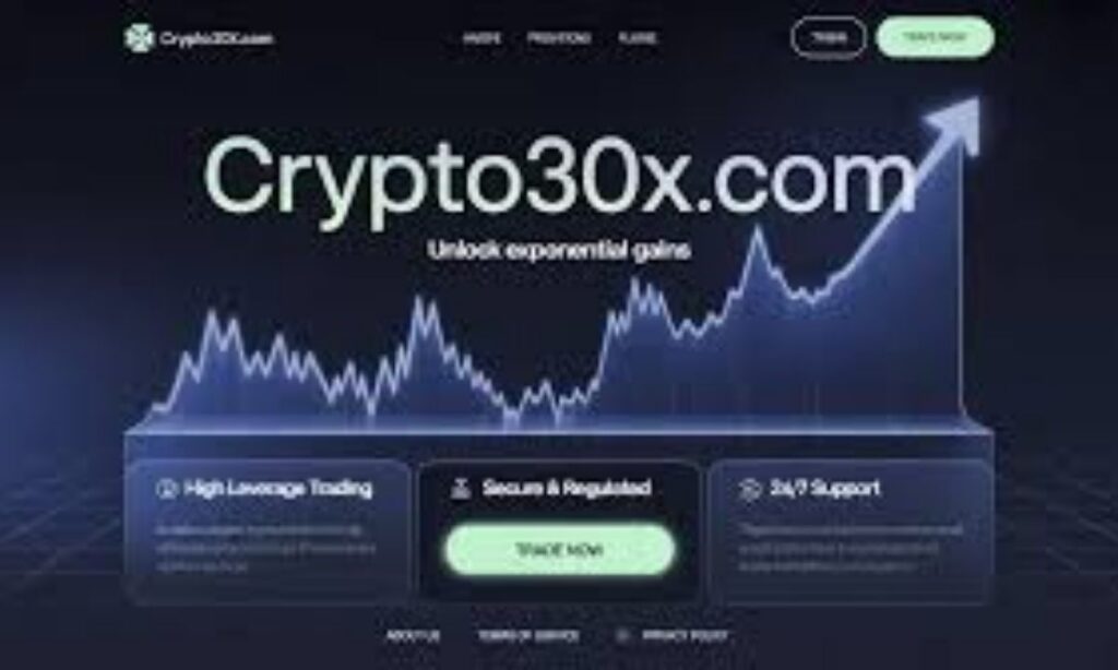 What Is Crypto30x.com Avalanche?