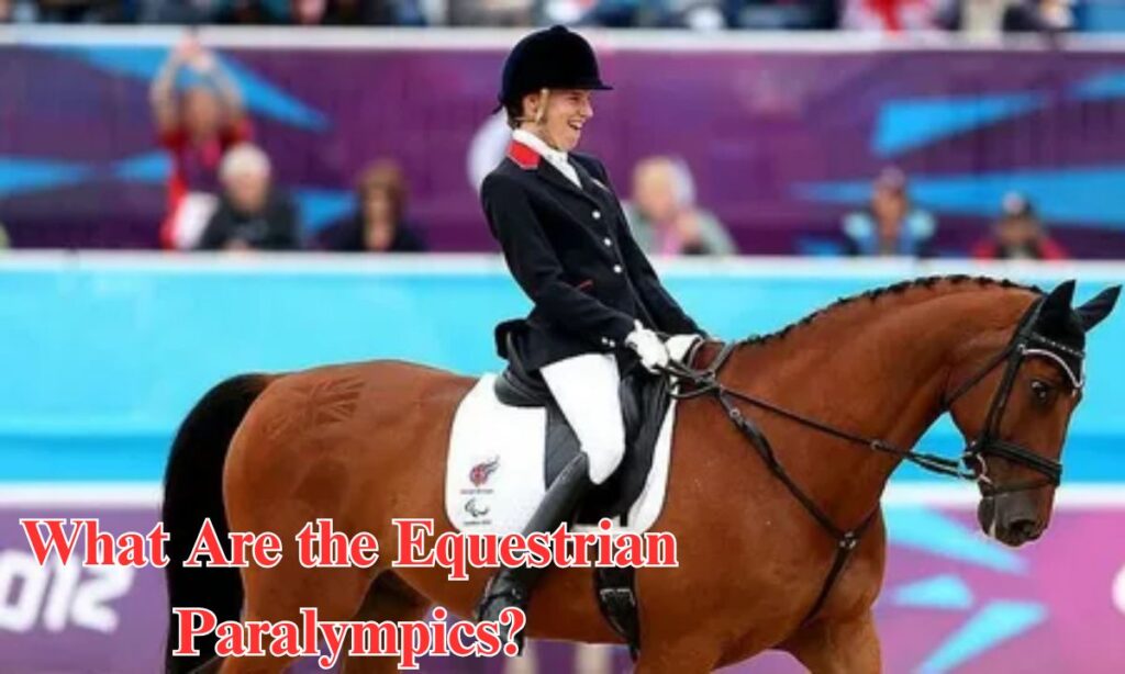 What Are the Equestrian Paralympics?