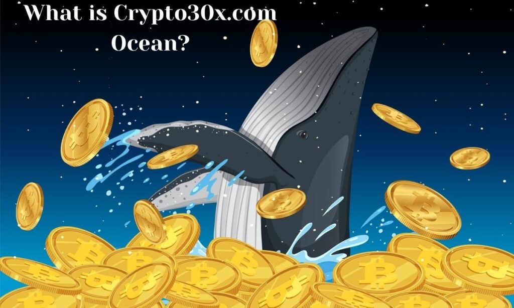 What is Crypto30x.com Ocean?