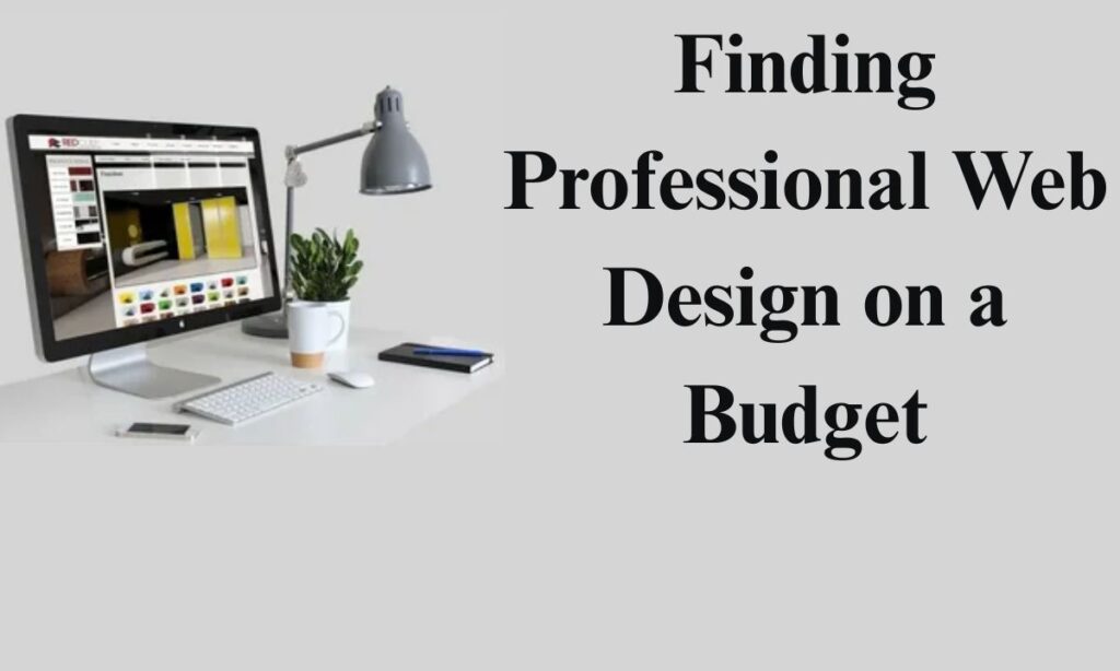 Finding Professional Web Design on a Budget