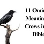 11 Ominous Meaning of Crows in the Bible: A Sign of Death, Judgment, and Divine Warning