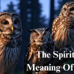 The Spiritual Meaning Of Owls + What To Do If They Keep Appearing To You