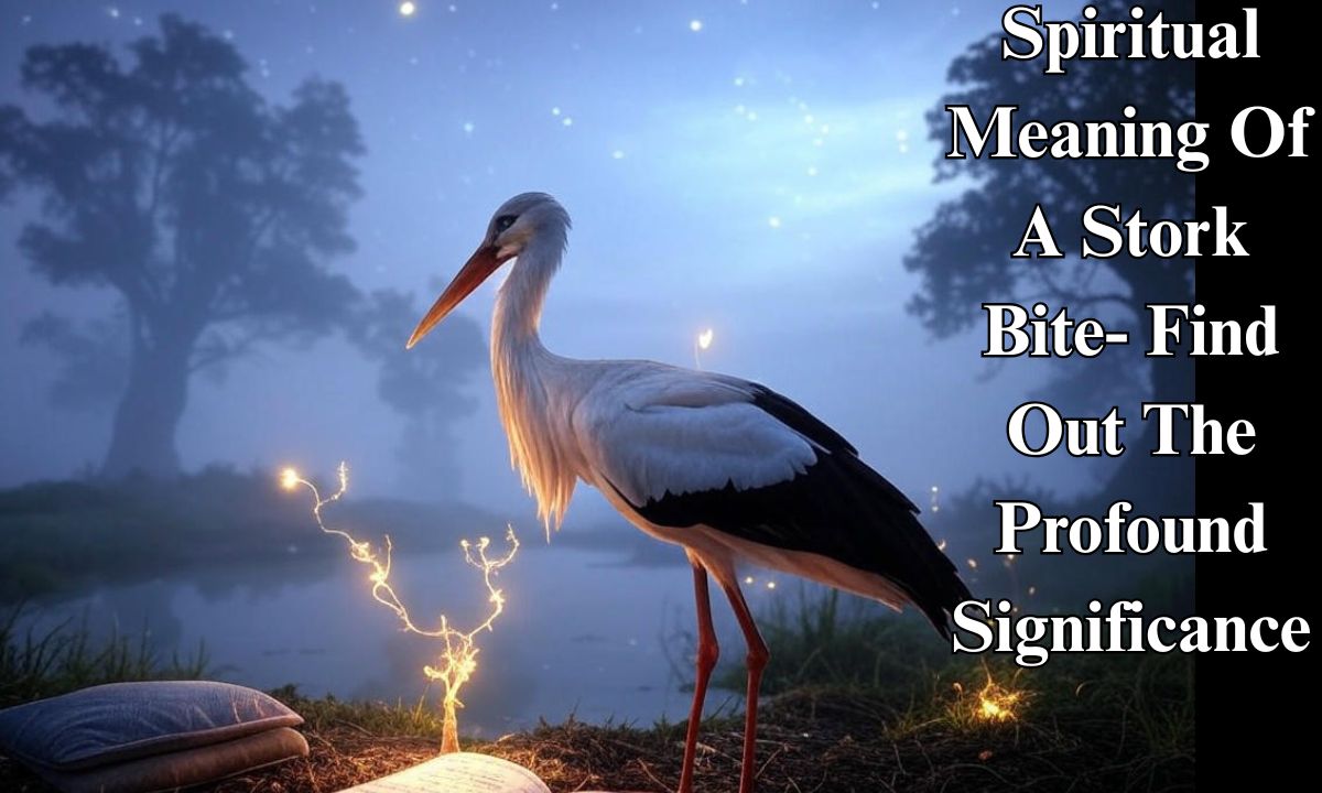 Spiritual Meaning Of A Stork Bite- Find Out The Profound Significance