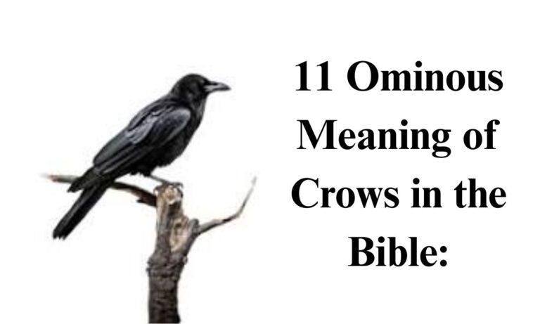11 Ominous Meaning of Crows in the Bible: A Sign of Death, Judgment, and Divine Warning