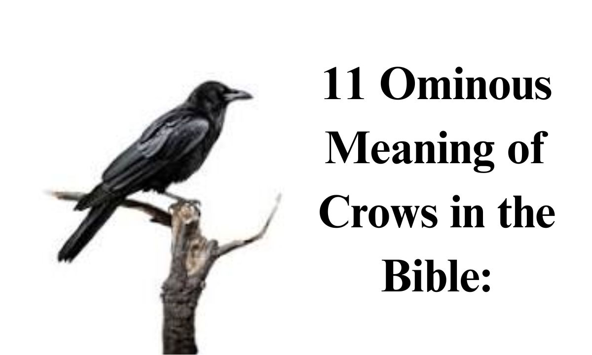 11 Ominous Meaning of Crows in the Bible: A Sign of Death, Judgment, and Divine Warning
