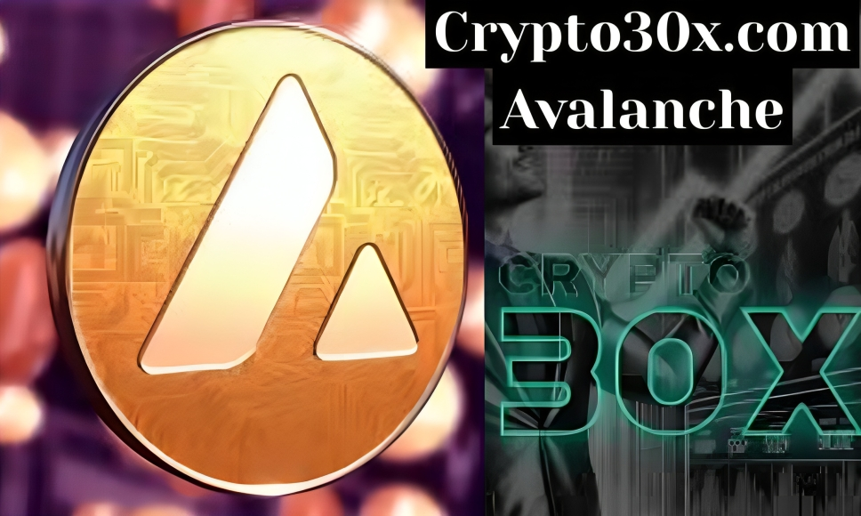 Crypto30x.com Avalanche: A Complete Guide to the Next-Gen Crypto Trading Platform
