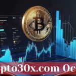 Crypto30x.com Ocean: What You Need to Know Before Investing