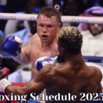 Boxing Schedule 2025: Key Dates, Upcoming Fights and Streaming Information